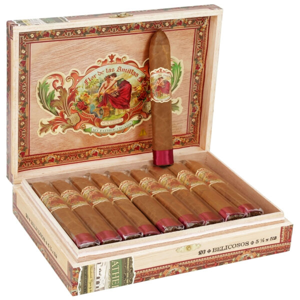 FLOR DE LAS ANTILLAS BELICOSO
