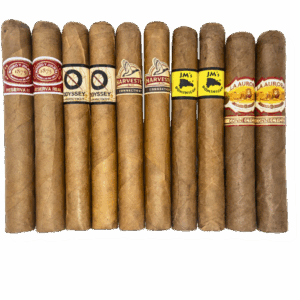classics robusto